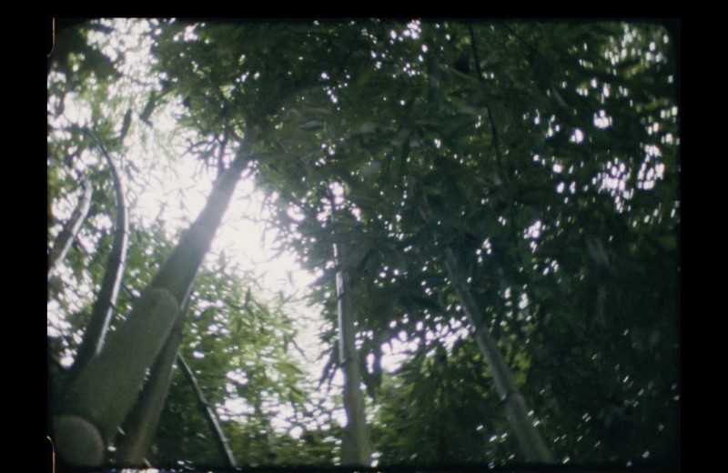 capture-decran-2025-03-19-a-12.42.13