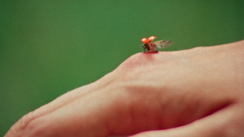 mia_goth__ladydior_v16-logo_16-9.00_00_22_18.still021